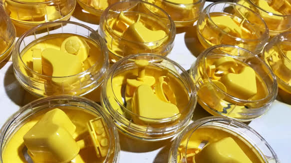 Hamster Exercise Wheel Kit